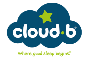 logo cloud b