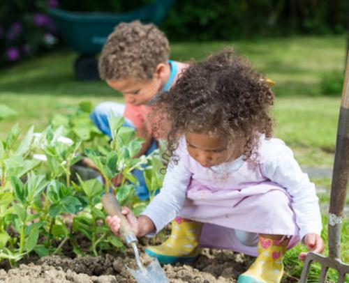 A close-up of a biracial little girl and boy gardening.