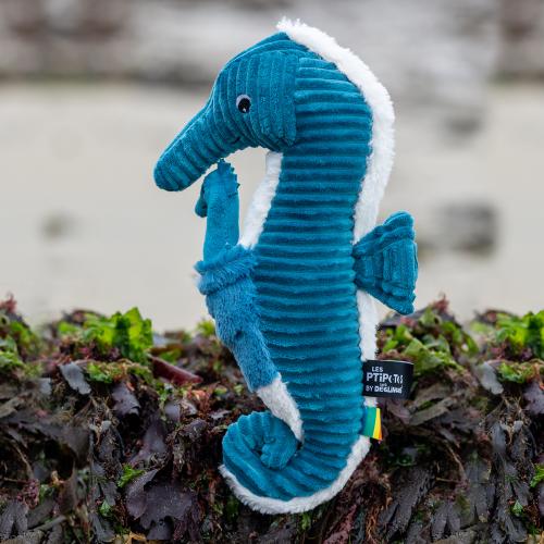 hippocampe bleu carre