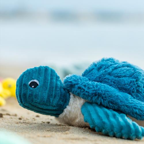 tortues bleue carre